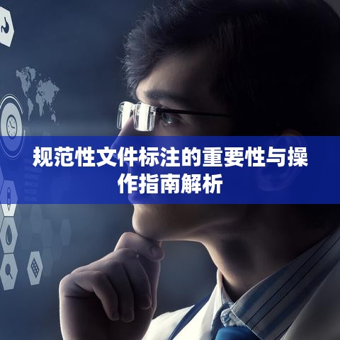 规范性文件标注的重要性与操作指南解析