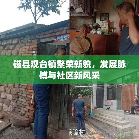 笔走龙蛇