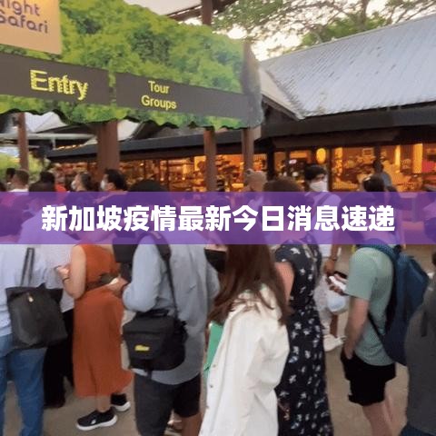 新加坡疫情最新今日消息速递