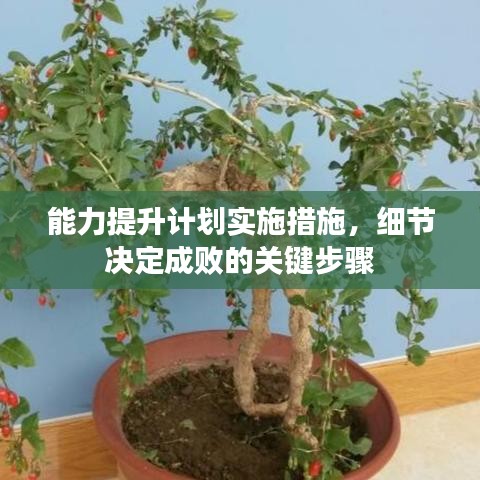 能力提升计划实施措施，细节决定成败的关键步骤