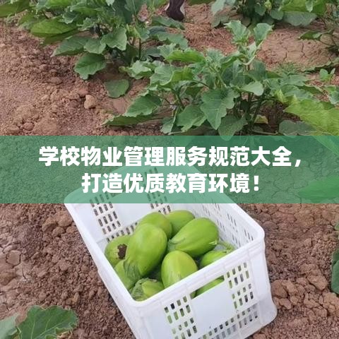 学校物业管理服务规范大全，打造优质教育环境！
