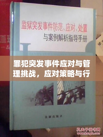 罪犯突发事件应对与管理挑战，应对策略与行动指南