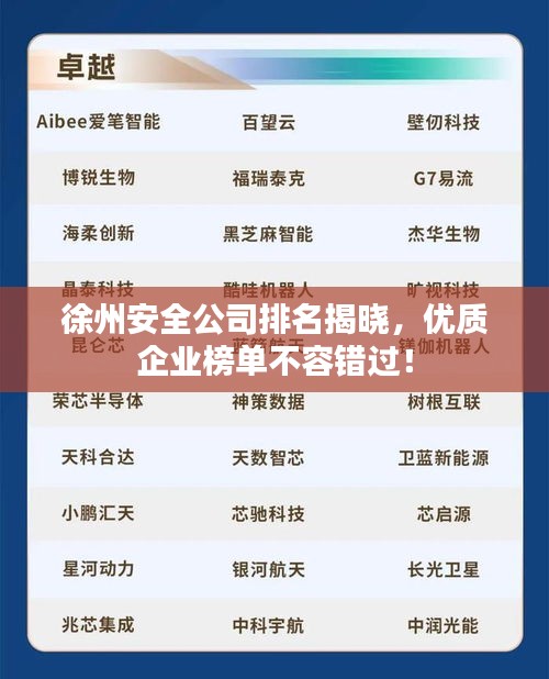 徐州安全公司排名揭晓，优质企业榜单不容错过！