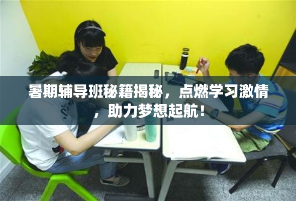 暑期辅导班秘籍揭秘，点燃学习激情，助力梦想起航！