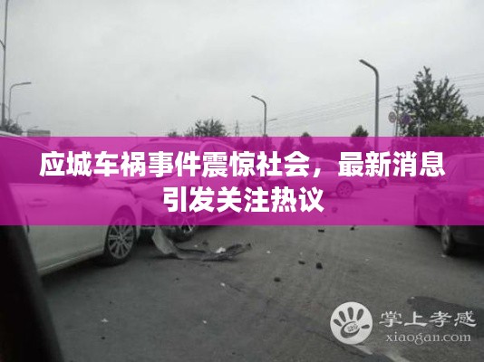 应城车祸事件震惊社会，最新消息引发关注热议