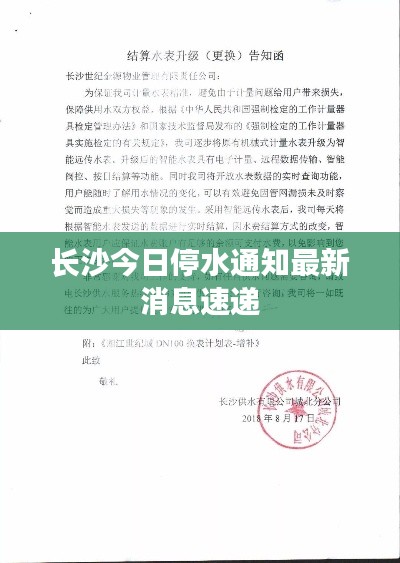 箭拔弩张