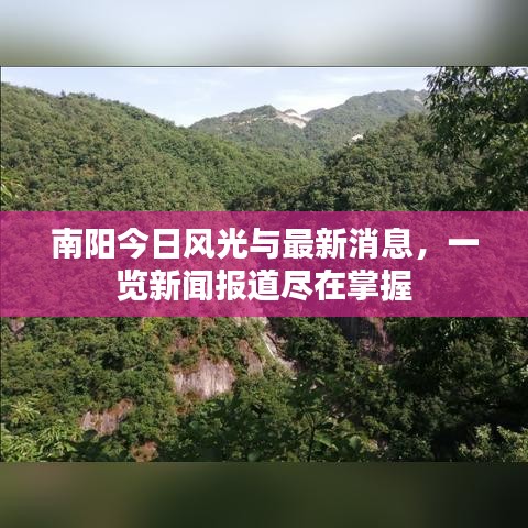 南阳今日风光与最新消息，一览新闻报道尽在掌握