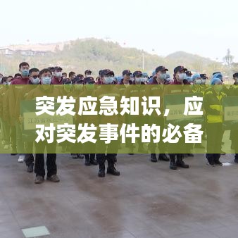 突发应急知识，应对突发事件的必备手册