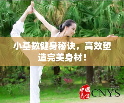 小基数健身秘诀，高效塑造完美身材！