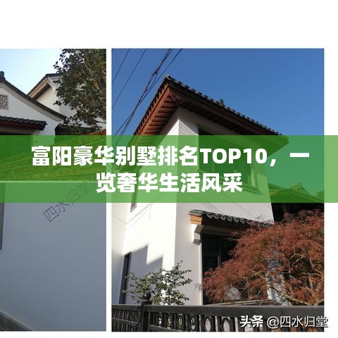 迷离马虎
