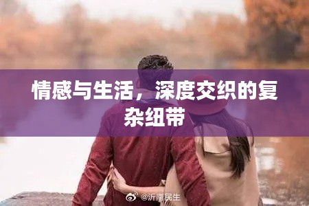情感与生活，深度交织的复杂纽带