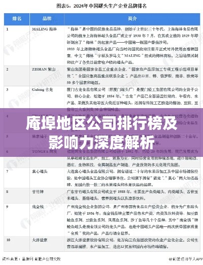 庵埠地区公司排行榜及影响力深度解析