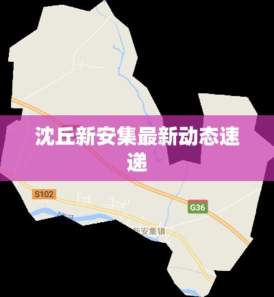 沈丘新安集最新动态速递