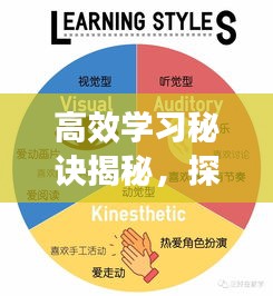 雅人清致