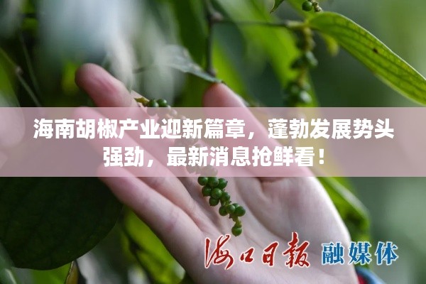 全神贯注