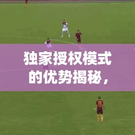 独家授权模式的优势揭秘，为何选择此模式及其好处？