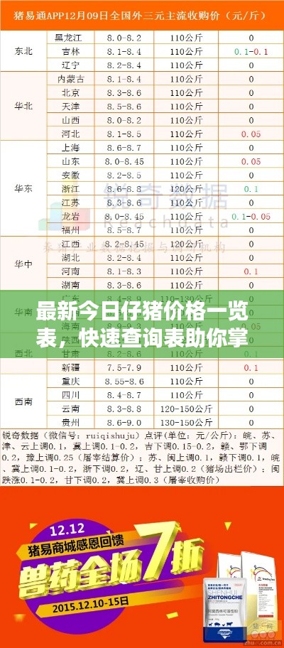 最新今日仔猪价格一览表，快速查询表助你掌握行情动态！