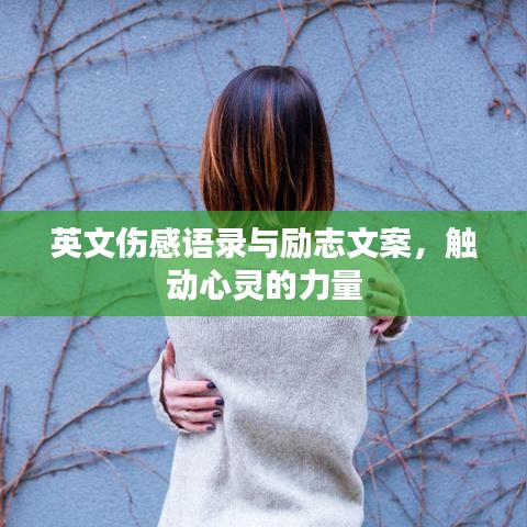 纲举目张