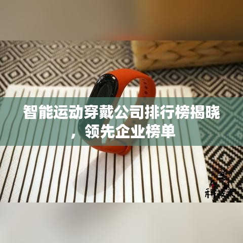 蚕丛鸟道