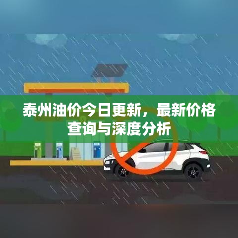 泰州油价今日更新，最新价格查询与深度分析