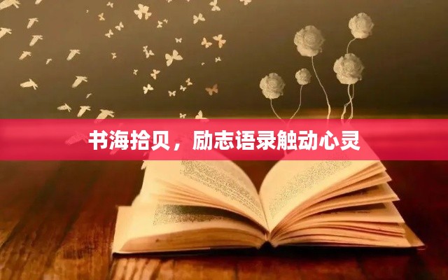 书海拾贝，励志语录触动心灵