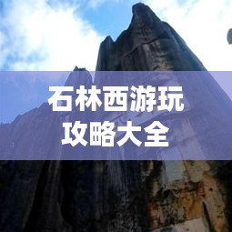 2025年6月 第13页