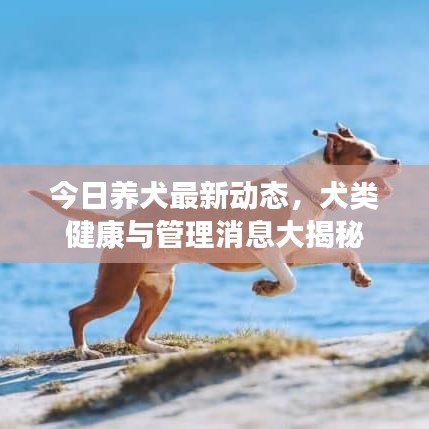 2025年6月 第8页