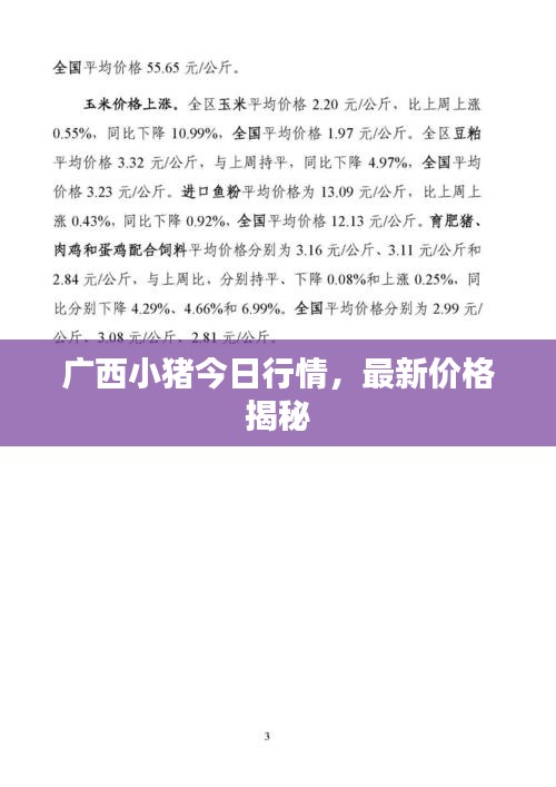 广西小猪今日行情，最新价格揭秘