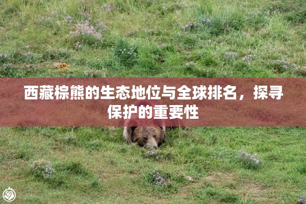 2025年6月 第4页