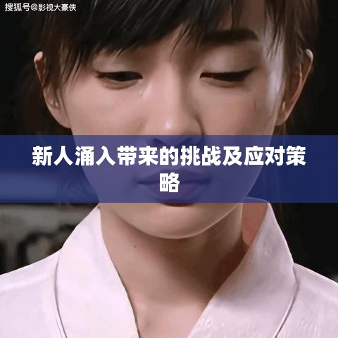 新人涌入带来的挑战及应对策略